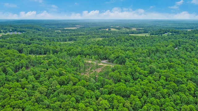 15.4AC Mt Helen Rd, Allardt, TN 38504