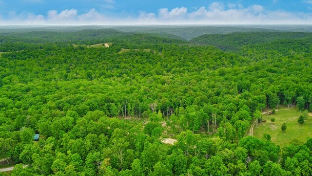 15.4AC Mt Helen Rd, Allardt, TN 38504