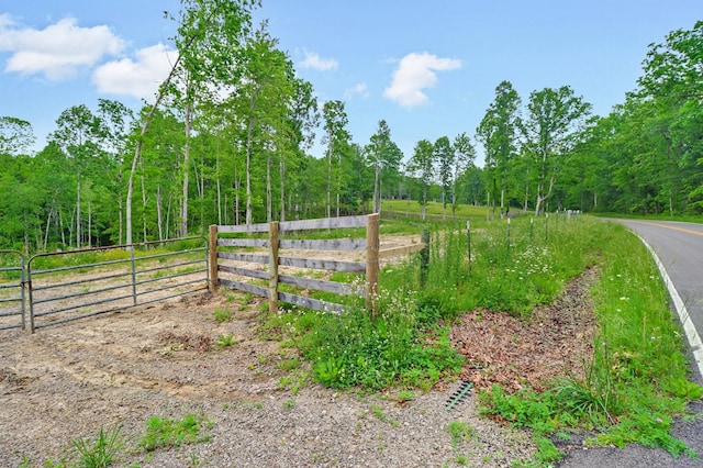 15.4AC Mt Helen Rd, Allardt, TN 38504