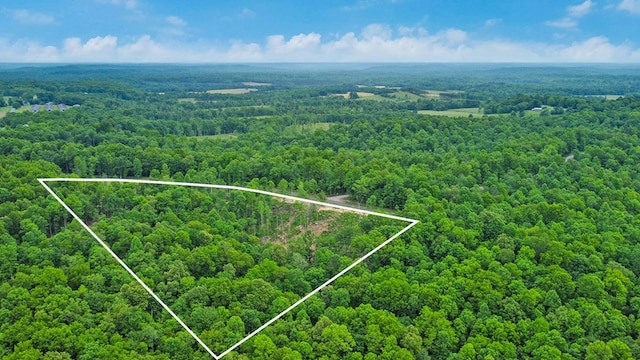 15.4AC Mt Helen Rd, Allardt, TN 38504
