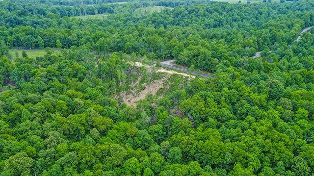 15.4AC Mt Helen Rd, Allardt, TN 38504
