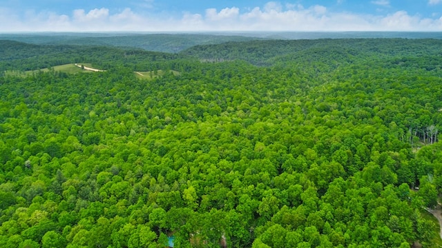 15.4AC Mt Helen Rd, Allardt, TN 38504