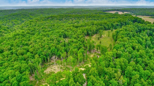 15.4AC Mt Helen Rd, Allardt, TN 38504