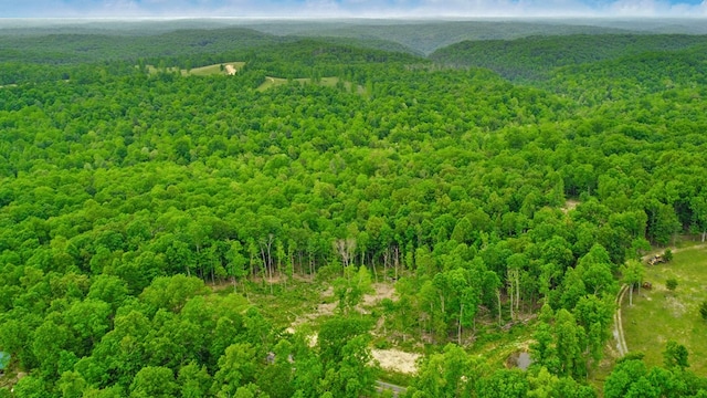 15.4AC Mt Helen Rd, Allardt, TN 38504