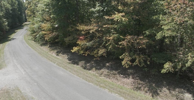 LOT3 Cross Dr, Monterey, TN 38574 - photo 5