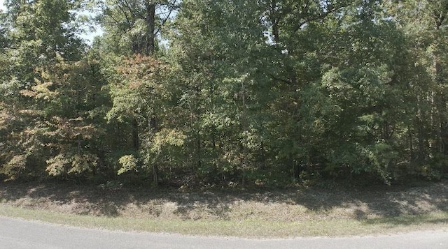 LOT3 Cross Dr, Monterey, TN 38574 - photo 4