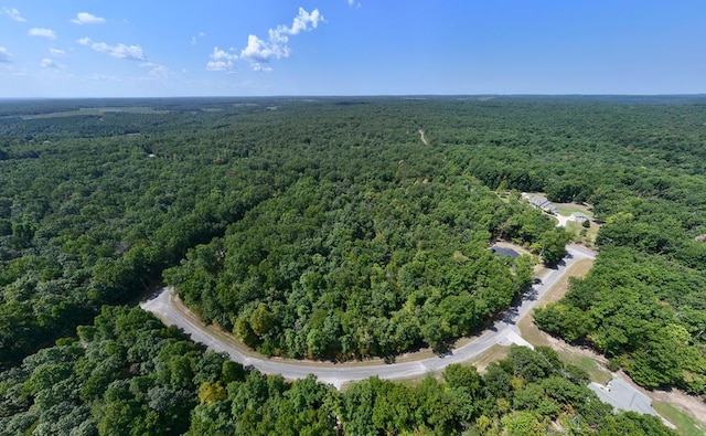 LOT3 Cross Dr, Monterey, TN 38574 - photo 3