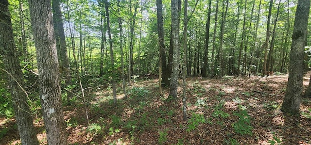 20 Bluff View Loop, Allardt, TN 38504