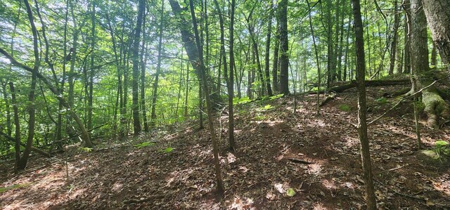 20 Bluff View Loop, Allardt, TN 38504