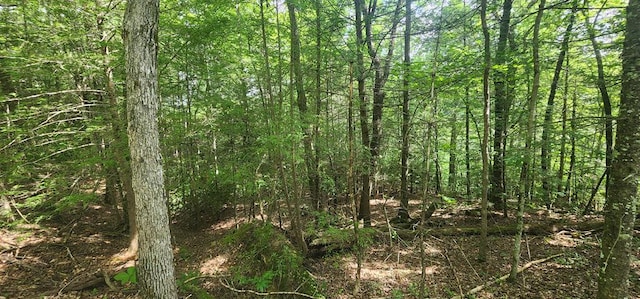 20 Bluff View Loop, Allardt, TN 38504