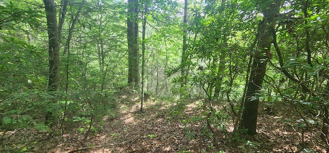 20 Bluff View Loop, Allardt, TN 38504
