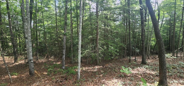 20 Bluff View Loop, Allardt, TN 38504