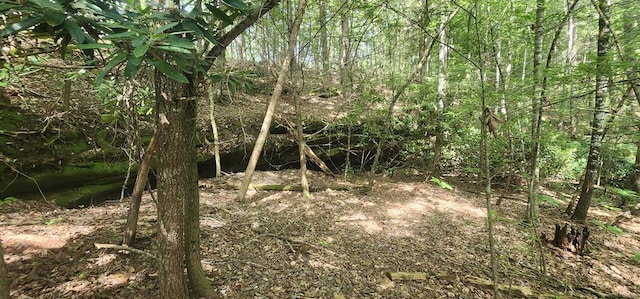 20 Bluff View Loop, Allardt, TN 38504