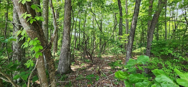 20 Bluff View Loop, Allardt, TN 38504