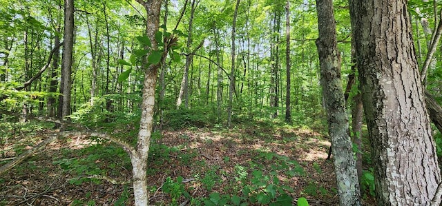 20 Bluff View Loop, Allardt, TN 38504
