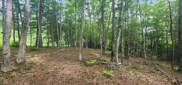 20 Bluff View Loop, Allardt, TN 38504
