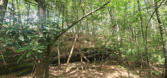 20 Bluff View Loop, Allardt, TN 38504