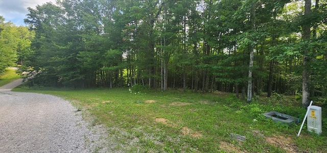 20 Bluff View Loop, Allardt, TN 38504