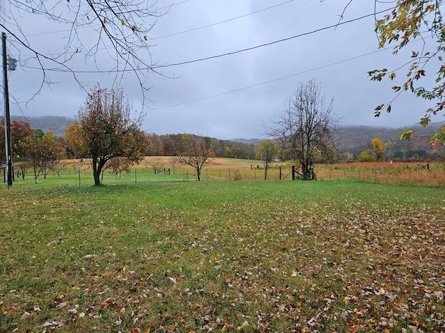 view of yard with a rural view