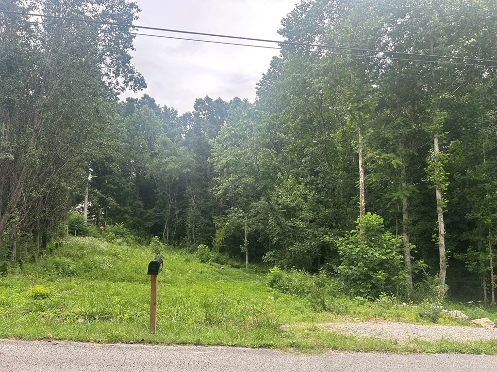 3919 Huntington Dr, Cookeville, TN 38501 - photo 2