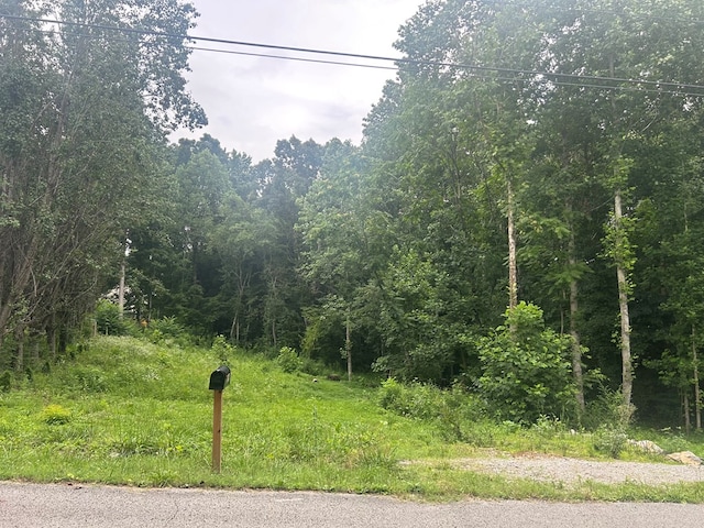 3919 Huntington Dr, Cookeville, TN 38501 - photo 2