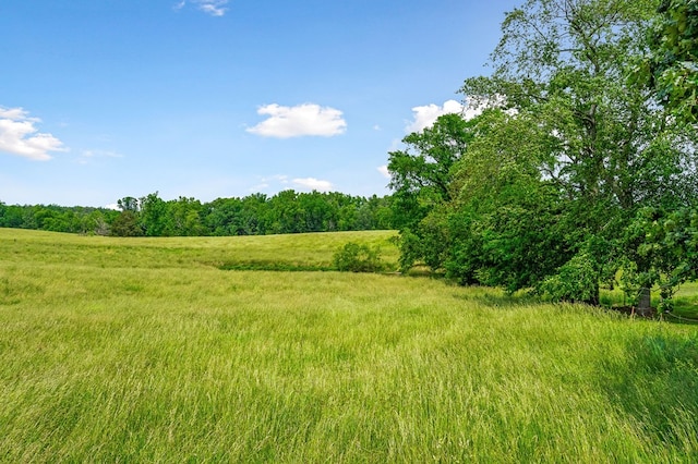 view of landscape with a rural view