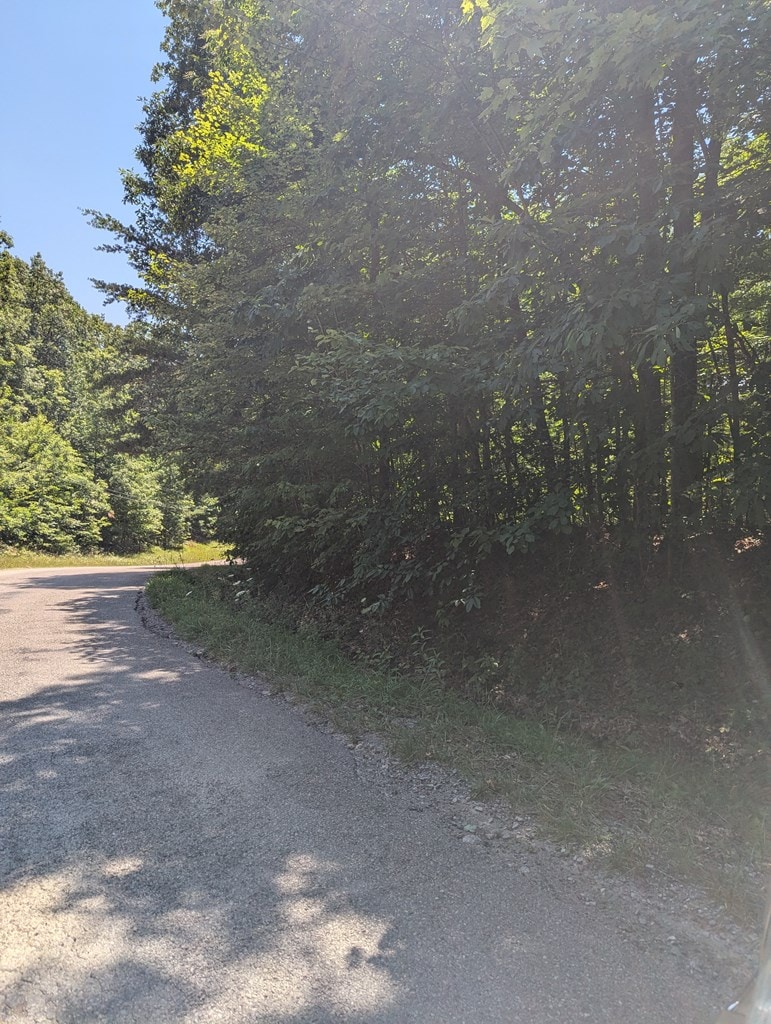LOT23 Street Place Loop, Monterey, TN 38574 - photo 2