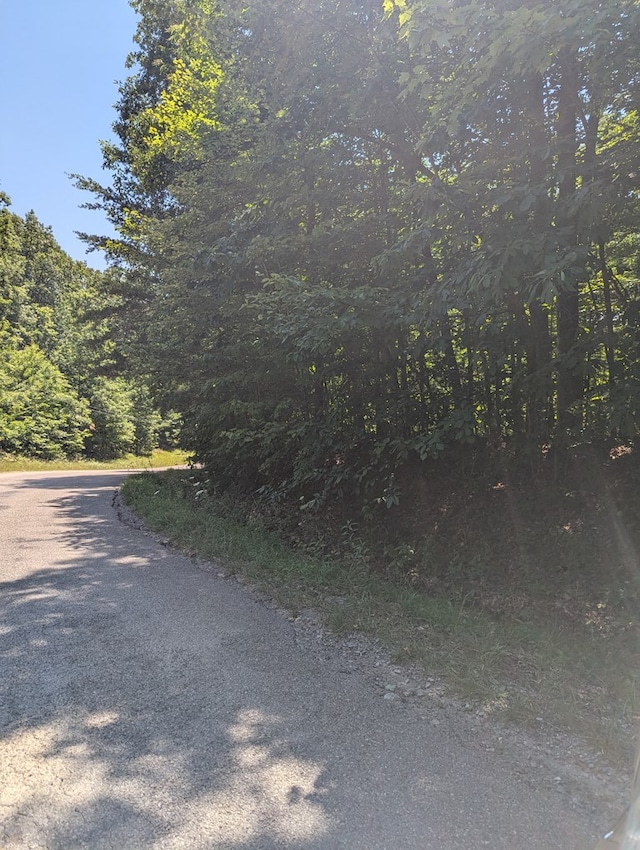 LOT23 Street Place Loop, Monterey, TN 38574 - photo 2
