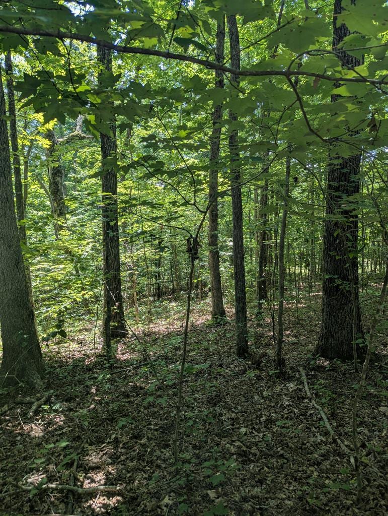 LOT23 Street Place Loop, Monterey, TN 38574 - photo 1
