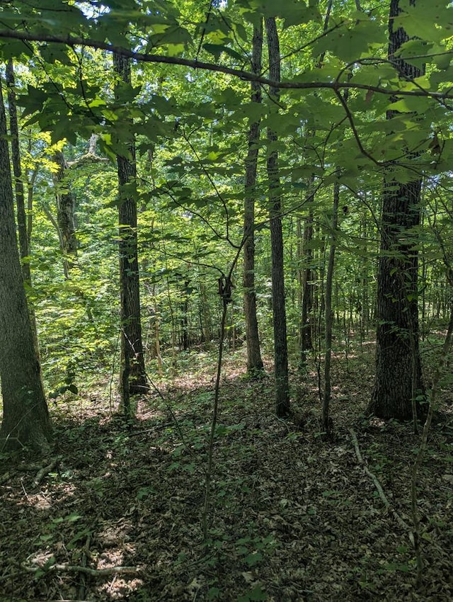 LOT23 Street Place Loop, Monterey, TN 38574 - photo 1