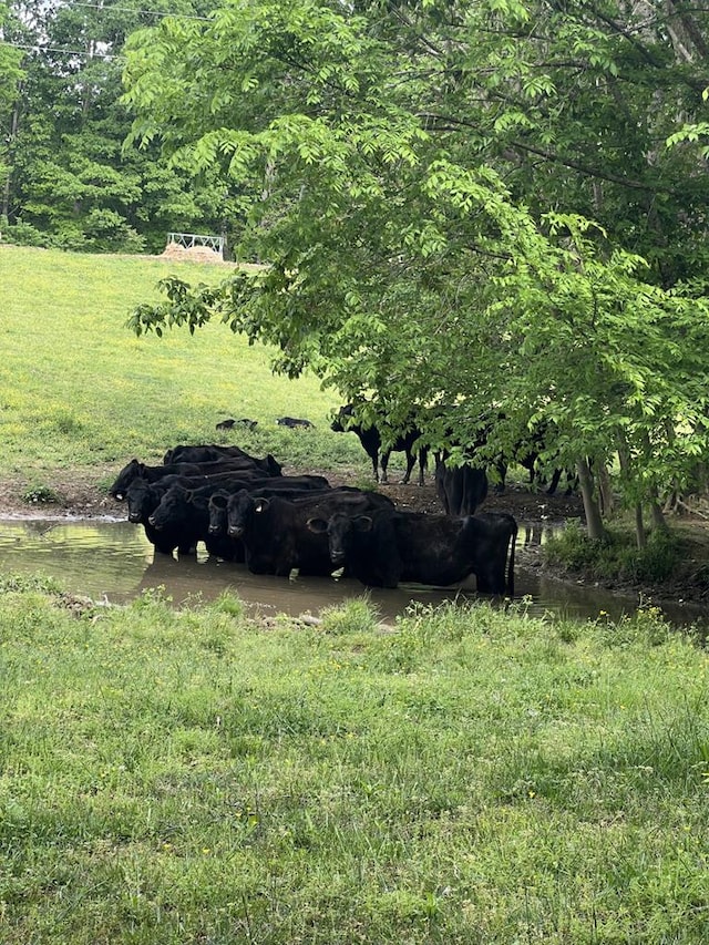 43.36AC Winningham Rd, Byrdstown, TN 38549