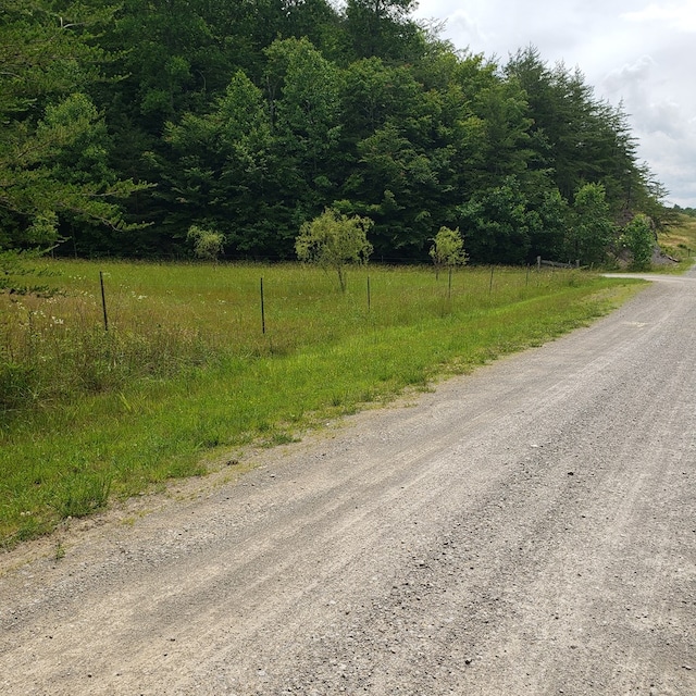 349 Treva Ln, Monterey, TN 38574 - view of dirt / gravel road featuring a view of trees