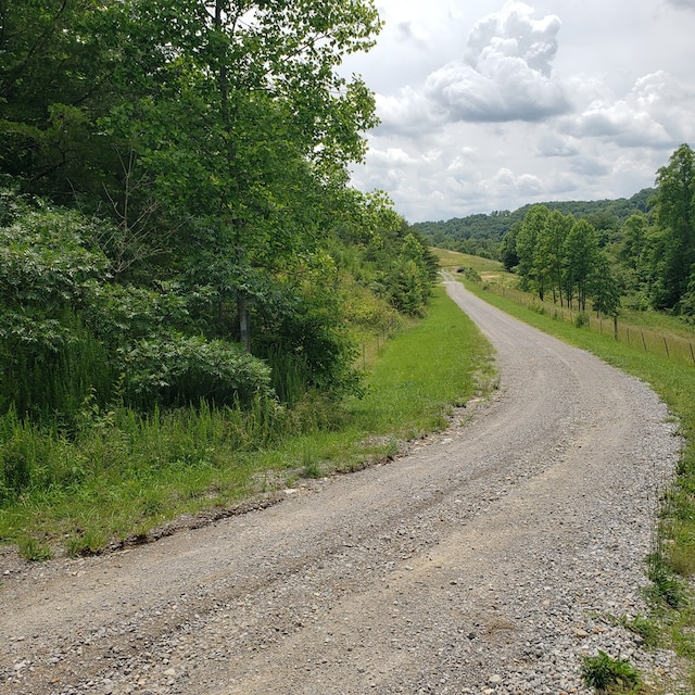 349 Treva Ln, Monterey, TN 38574 - view of dirt / gravel road with a view of trees