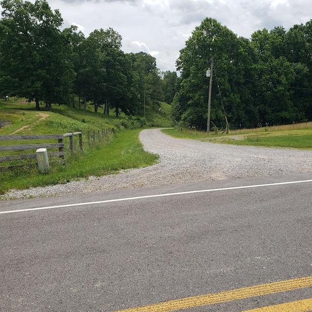 349 Treva Ln, Monterey, TN 38574 - view of dirt / gravel road