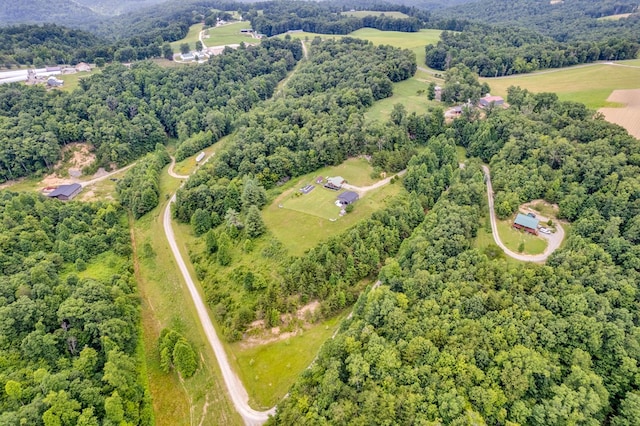 349 Treva Ln, Monterey, TN 38574 - bird's eye view of a forest