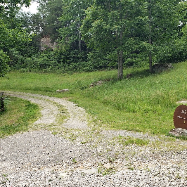 349 Treva Ln, Monterey, TN 38574 - view of dirt / gravel road featuring a forest view