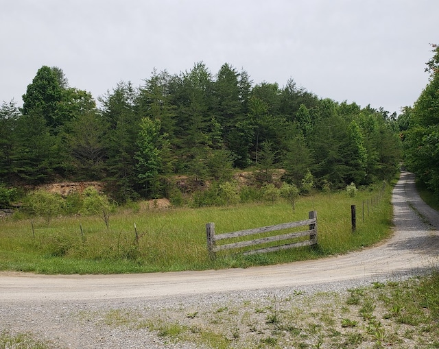 349 Treva Ln, Monterey, TN 38574 - view of dirt / gravel road featuring a forest view