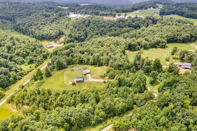 349 Treva Ln, Monterey, TN 38574 - aerial view of a forest