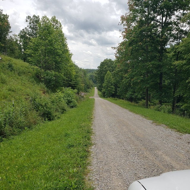 349 Treva Ln, Monterey, TN 38574 - view of dirt / gravel road featuring a view of trees