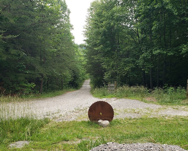 349 Treva Ln, Monterey, TN 38574 - view of road featuring a wooded view