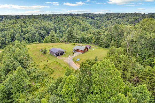 349 Treva Ln, Monterey, TN 38574 - view of subject property featuring a forest