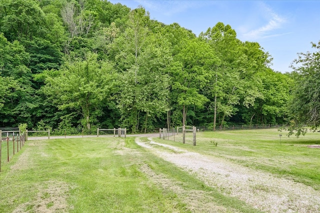 3569 Dry Mill Creek Rd, Hilham, TN 38568 - view of yard featuring a view of trees