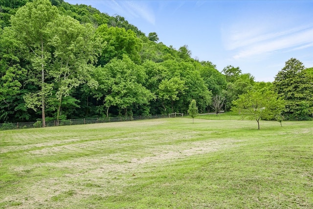 3569 Dry Mill Creek Rd, Hilham, TN 38568 - view of yard with a view of trees