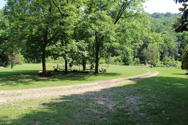 678 Love Valley Rd, Silver Point, TN 38582 - photo 1