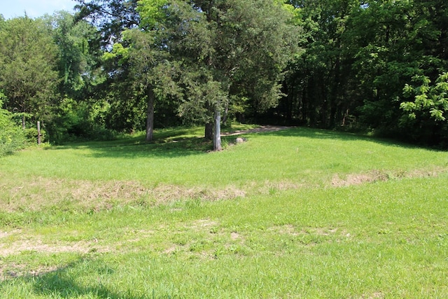 678 Love Valley Rd, Silver Point, TN 38582 - photo 2