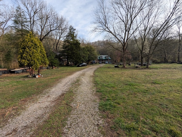 678 Love Valley Rd, Silver Point, TN 38582 - photo 23