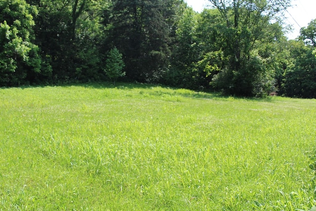 678 Love Valley Rd, Silver Point, TN 38582 - photo 3