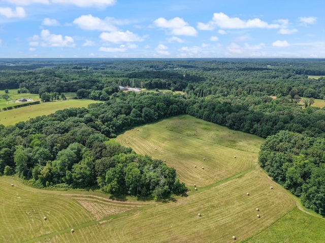 9952 Missionary Ridge Rd, Bon Aqua, TN 37025 - photo 9