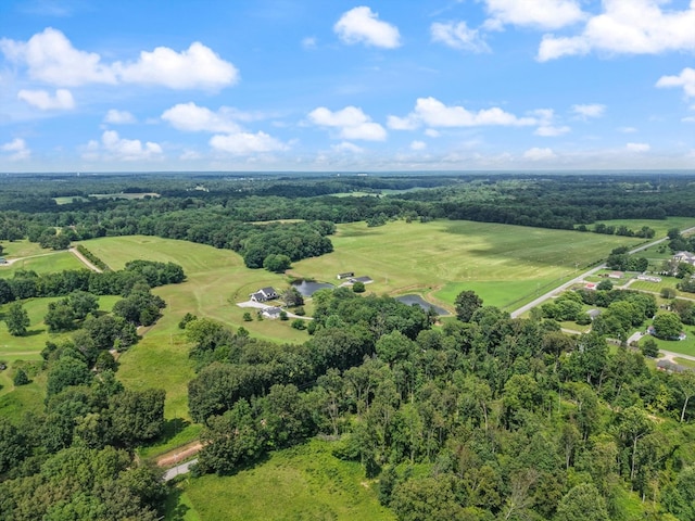 9952 Missionary Ridge Rd, Bon Aqua, TN 37025 - photo 7