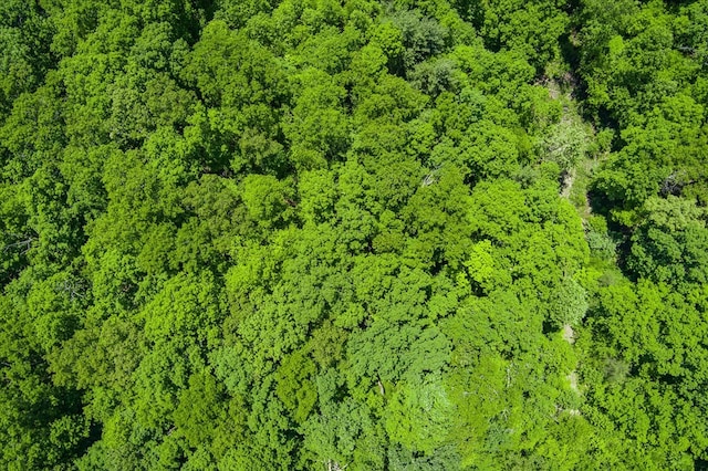 169 Woods Hollow Ln, Crossville, TN 38571 - photo 5